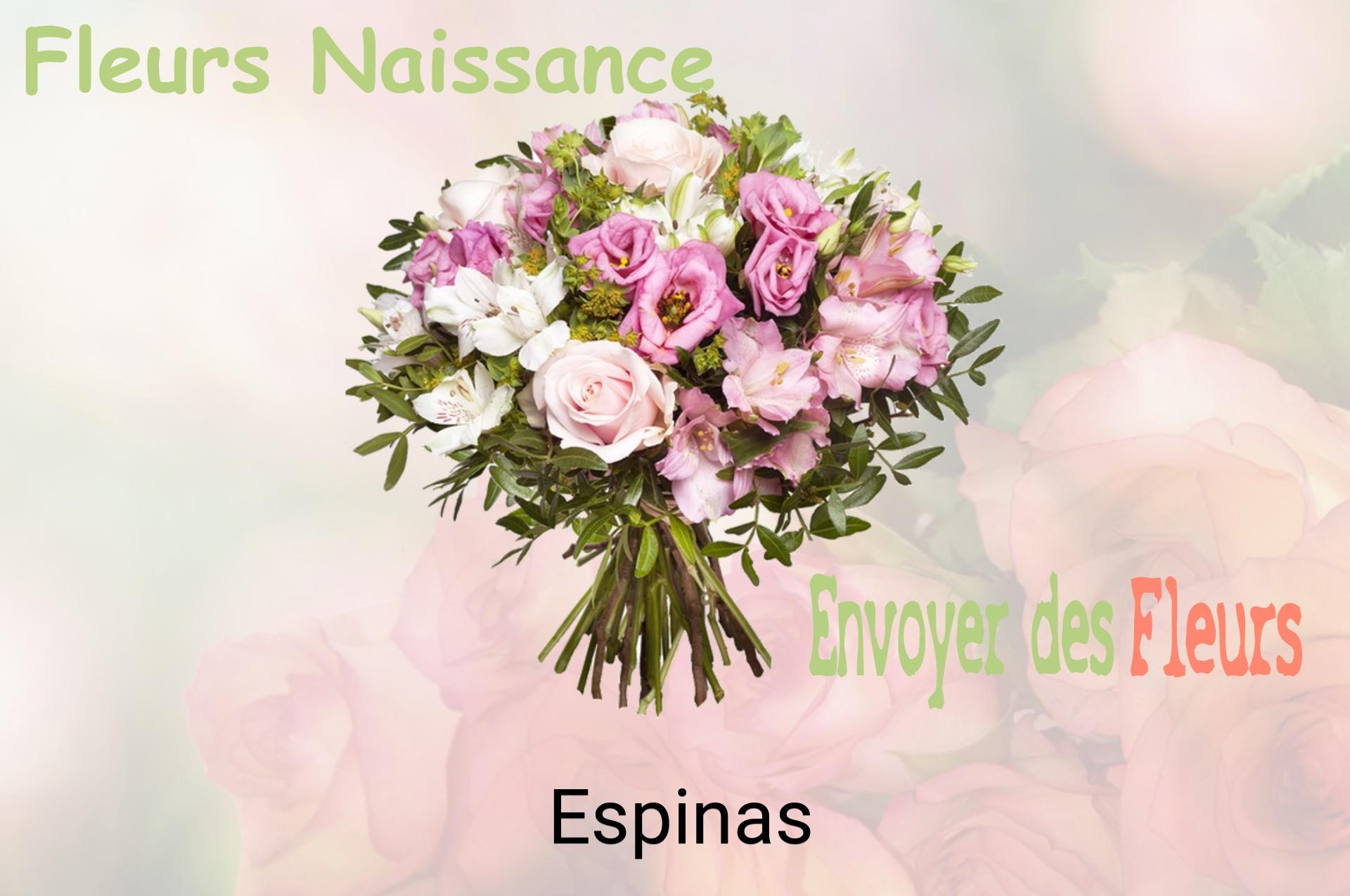 Bouquet de fleurs de naissance livré à Espinas